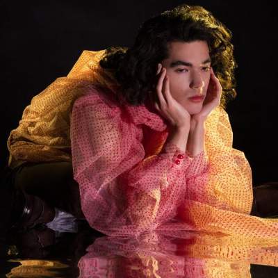 What Is The Sexuality Of Conan Gray? Is He A Gay? 